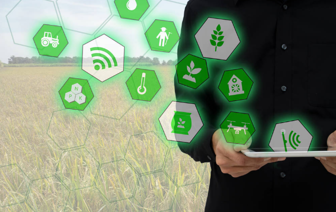 物联网与人工智能在智慧农业中的应用