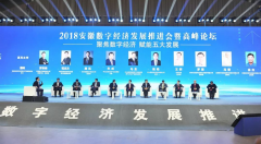 天源迪科应邀参加2018安徽数字经济发展推进会暨高峰论坛
