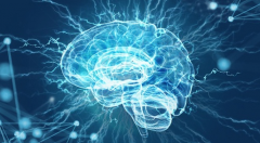 科学家称几十年内人脑就能与互联网连接 形成“思想网络”
