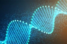 科学家成功将数据写入DNA，存储设备革命即将到来
