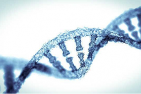 未来或许用DNA技术来进行数据存储