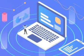 2019年中国政府网站绩效评估简单分析