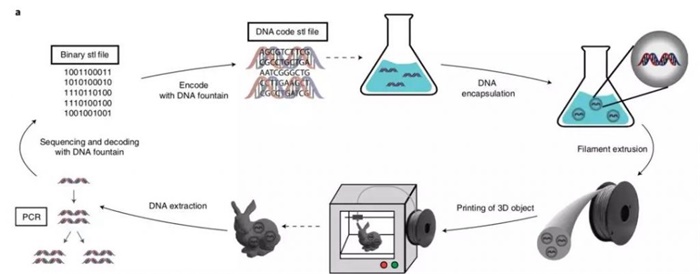 DNA存储技术新突破！一只3D打印兔子，向我们展现了“万物皆硬盘”的未来