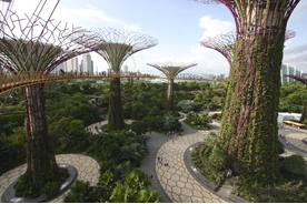 新加坡建设绿色高层数据中心将面临哪些问题？