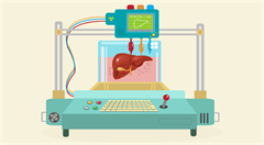 可移植3D打印器官即将问世