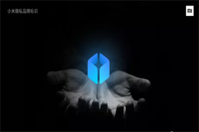 “小米隐私”为什么漏掉了儿童安全?