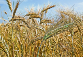 物联网如何推动创新