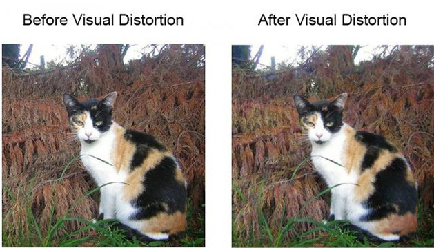 “照片脱敏”：新照片隐私技术能击败人脸识别AI算法