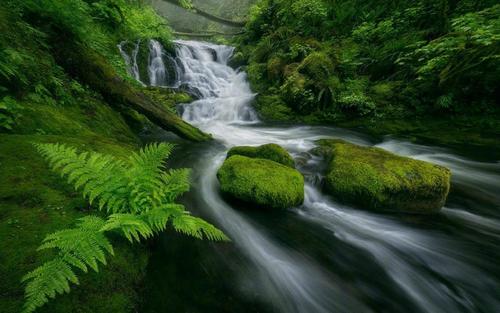 物联网、人工智能和大数据如何帮助拯救地球