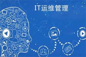 2020年中国IT运维管理行业市场现状及发展前景研究报告