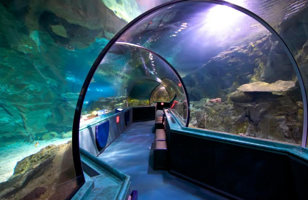 微软为什么非要把数据中心设在海底?了解服务器背后的科学