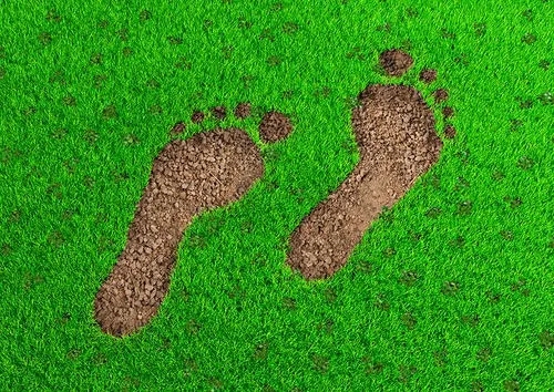 人工智能会因为碳足迹“限号”吗?