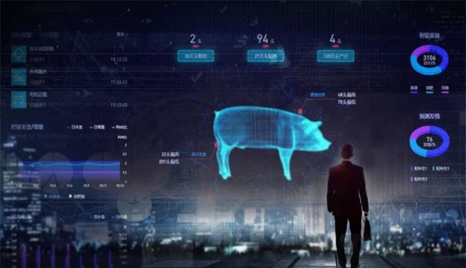 生猪企业数字化转型的六个基本要素