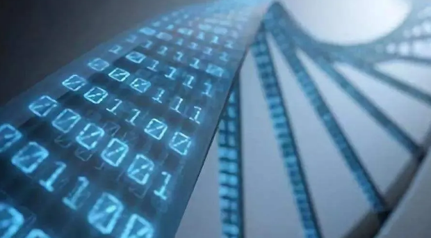 区块链技术生态持续优化 五大趋势将推动行业步入新阶段