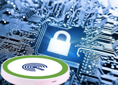 近似全同态加密的安全性措施