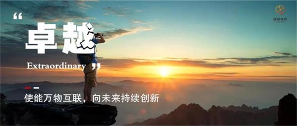 回首2020 | 通服物联，始终前行