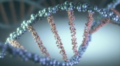 深度 | 从基因编辑到人工智能,人类为所欲为的界限到底在哪?