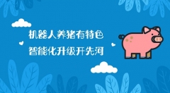 AI时代 智能养猪成主流趋势
