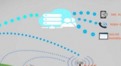 物联网卡智能耳标能够加强养殖管理提高牛奶产率