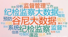 推进纪检监察大数据应用的建议