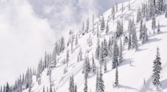 浅谈小众云计算提供商的出路与变革