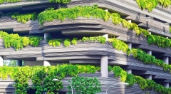 家庭物联网如何帮助塑造智慧城市