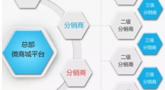 紫气东昇:微商和社交电商的区别