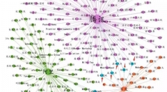 移动互联网格局已定：BAT三分天下