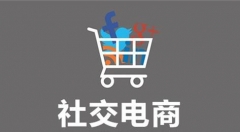 怎样的电商才是社交电商