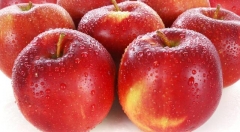 鲜活农产品电子商务发展瓶颈及对策研究