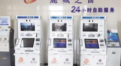 包头市不断深化“互联网+政务服务”