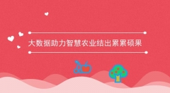 大数据助力智慧农业结出累累硕果!