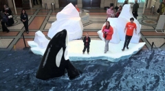 AR市场沉浮录 2019年何去何从?