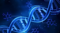 终结者or助手？!迅猛发展的人工智能未来将威胁人类社会？