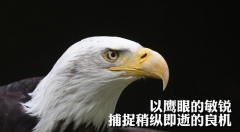 社交电商后半场：一场攻与守的战争