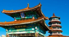 山东政务小程序上线支付宝 一键办理300项服务