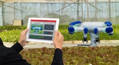 物联网助力农业“智慧温室” 大棚变身智能工厂
