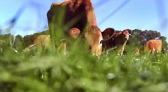 人工智能“公地悲剧”:我们正在对高校“过度放牧”