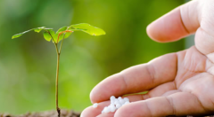 “互联网+”智慧农业推动科学施肥到田间