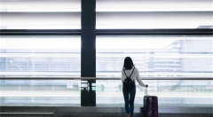 2019年春节4.15亿人出游成绩单：四成逛了博物馆，三成看了文化演出