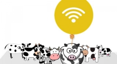 田间物联网技术翻新页　NB-IoT成农渔资料收集神器