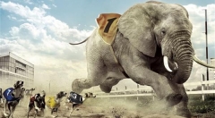 BAT的进化论：深度布局互联网下半场的关键在哪？