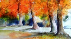 互联网时代，短信验证码用处广阔