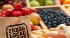 生鲜电商陷入生死劫 冷链物流并不是绊脚石