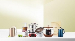 后消费互联网时代，小家电行业的两层衍化路径