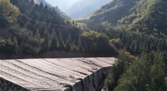 土鸡搭上电商车 走出大山变凤凰