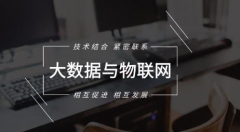 大数据与物联网相互促进发展
