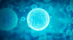 哈佛医学院的人工智能系统能检测出导致某些癌症的基因缺陷