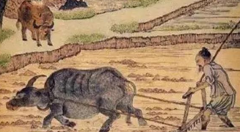 告别“看天吃饭”，解析物联网在农业中的应用