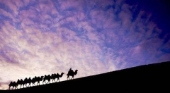 《2018“一带一路”旅游大数据报告》发布：重庆排名前十